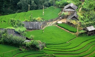 Gần 40 tình nguyện viên đăng ký tham gia chương trình Y4C- Thắp sáng tri thức 2026