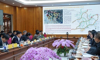 Tập đoàn T&T Group đề xuất nghiên cứu đầu tư nhiều dự án trọng điểm tại Lâm Đồng