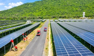 Ánh sáng khởi nguồn năm mới