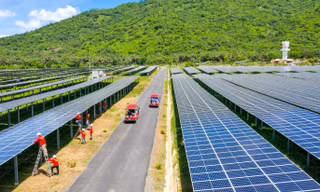 Ánh sáng khởi nguồn năm mới