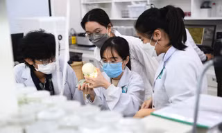 Trường ĐH Quốc tế tuyển 2.300 chỉ tiêu, áp dụng công thức xét tuyển '3 trong 1'