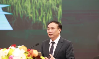 Liên kết chuỗi giá trị và phát triển hệ sinh thái số: Hai trụ cột kiến tạo nền nông nghiệp hiện đại