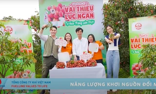Hành trình kết nối xanh: Mùa vải đã về 