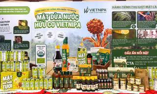 Từ đặc sản Cần Giờ đến thị trường Mỹ: VIETNIPA mở rộng hành trình của mật dừa nước Việt Nam