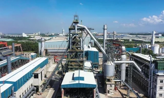 Vingroup hợp tác và hỗ trợ Pomina phát triển