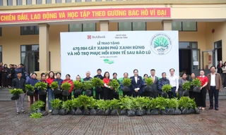 SeABank hỗ trợ trồng gần 671 nghìn cây xanh tại Hà Tĩnh, vượt mục tiêu 1 triệu cây xanh