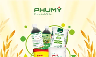 Ra mắt sản phẩm hữu cơ Phú Mỹ Organic