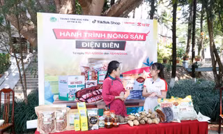 "Hành trình Nông sản Điện Biên" thúc đẩy ứng dụng TMĐT, mở rộng đầu ra bền vững cho nông đặc sản địa phương