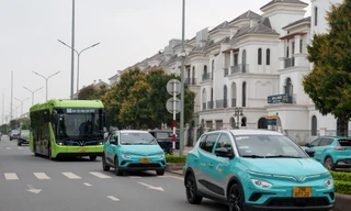 Tại sao các doanh nghiệp vận tải đồng loạt chuyển sang dùng xe điện?