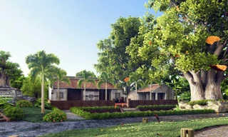 Bill Nguyễn Bonsai Garden – Khơi nguồn giữ gìn mạch giá trị cho muôn đời sau từ di sản cây Việt