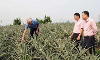 Tín dụng chính sách tạo động lực phát triển kinh tế - xã hội