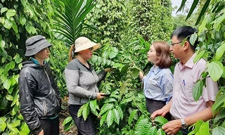 Tín dụng chính sách xã hội - 'đòn bẩy' giảm nghèo bền vững