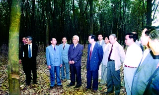 KỲ 1: 'Phú riềng đỏ' – ngọn lửa sáng của ngành cao su Việt Nam