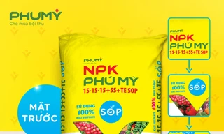Phân bón Phú Mỹ chính thức ra mắt sản phẩm mới NPK PHÚ MỸ 15-15-15+5S+TE SOP sử dụng 100% Kali Sulphate
