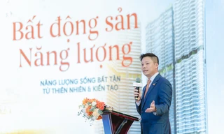 Alluvia City – Dòng chảy sống ươm nguồn khoáng đạt