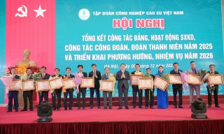 VRG vững nền tảng, mở đà tăng trưởng xanh giai đoạn mới