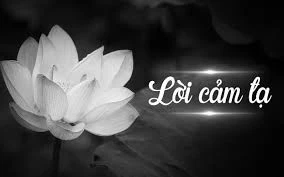 LỜI CẢM TẠ