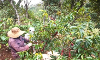 Khoảng trống trong dự thảo sửa đổi Nghị định 103/2024/NĐ-CP