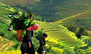 Tuổi trẻ vì cộng đồng (Y4C): Hành trình giáo dục trải nghiệm tại Bảo Thắng trước thềm năm mới