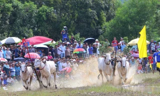 An Giang lan tỏa giá trị đoàn kết, nâng cao đời sống vùng đồng bào dân tộc