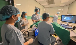 Tết Bính Ngọ 2026: Để lời chúc 'sinh con như ý' không chỉ dừng lại ở lời chúc