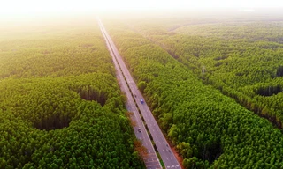 Vinhomes Green Paradise Cần Giờ thành đường đua cực đỉnh của 5.000 runner, mở ra tiềm năng đón 40 triệu du khách mỗi năm