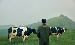 Hành trình Mộc Châu Creamery giữ trọn tinh hoa Việt