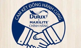 AkzoNobel tăng cường chống sơn giả Dulux Maxilite, bảo vệ quyền lợi người tiêu dùng Việt toàn diện