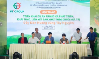 Dự án Đàn Hương Tây Nguyên: Sinh kế bền vững cho nông dân và tương lai xanh