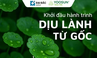 Từ cây rau má nhỏ xinh đến các sản phẩm chăm sóc da 'quốc dân' của người Việt