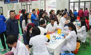 Gần 300 đơn vị máu được hiến tặng tại Lễ hội Xuân Hồng 2026