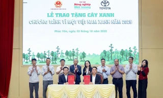 Toyota Việt Nam bền bỉ gieo mầm xanh: Chuỗi hoạt động trách nhiệm xã hội vì một tương lai bền vững