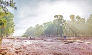 Tỉnh Gia Lai chấp thuận đầu tư Dự án Sân golf Đak Đoa cho doanh nghiệp thuộc FLC