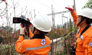 EVN sẵn sàng đảm bảo cung cấp điện trong dịp Tết Nguyên đán Bính Ngọ