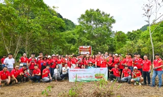 CADIVI phát động chương trình trồng cây “Trao mạch sống xanh, Ươm tương lai bền vững”