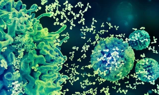 Ba chiến lược trụ cột về phòng ngừa HPV, khi Việt Nam hòa nhịp cùng khuyến cáo toàn cầu 