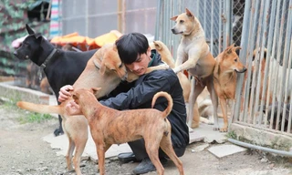“Người Chung Quanh Ta” tập 21: Hành trình cứu hộ 1300 chú chó bị bỏ rơi của những tấm lòng vàng