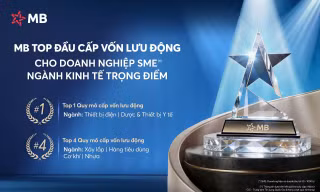 MB – Ngân hàng top đầu Cấp vốn lưu động cho doanh nghiệp SME thuộc ngành kinh tế trọng điểm 