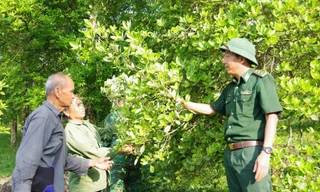 Sắc xanh trên tuyến đầu biên giới Lạng Sơn