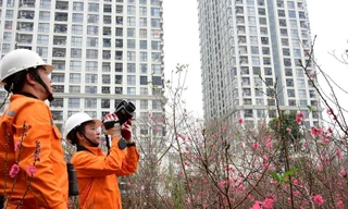 EVN khẩn trương triển khai nhiệm vụ ngay sau nghỉ Tết Nguyên đán