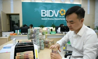 Lợi ích kép giúp doanh nghiệp bứt phá