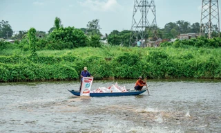 Sao Mai Super Feed trước cơ hội mới của cá tra và 'tuần hoàn giá trị'