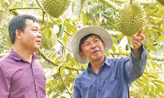 Nông dân Tây Ninh: Những điểm sáng trong phong trào thi đua yêu nước