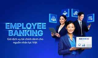 Kế toán doanh nghiệp nói gì về giải pháp chi hộ lương tại ACB?
