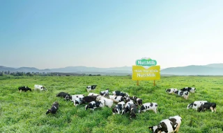 Nutifood tăng đầu tư thêm 6.000 tỷ đồng mở rộng trang trại và nhà máy tại Gia Lai