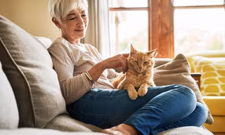 Người cao tuổi sống độc lập có thực sự cô đơn như chúng ta nghĩ?