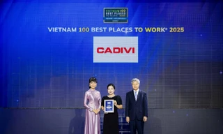 CADIVI lọt top “Nơi làm việc tốt nhất Việt Nam 2025”: Dấu mốc khẳng định chiến lược nhân sự bền vững