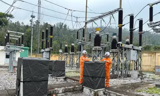 Tổng công ty điện lực miền Bắc chủ động triển khai phương án ứng phó với bão số 3 theo phương châm '4 tại chỗ'