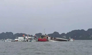 Chính quyền địa phương cùng các lực lượng chức năng đang đẩy mạnh công tác kiểm tra, đảm bảo an toàn giao thông thủy, đồng thời nâng cao năng lực ứng phó thiên tai và xử lý sự cố, nhằm bảo vệ tốt nhất cuộc sống người dân và du khách.