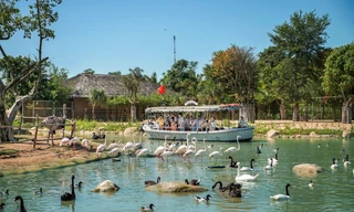 Tặng con mùa hè đáng nhớ – học điều hay từ thế giới diệu kỳ VinWonders Nam Hội An